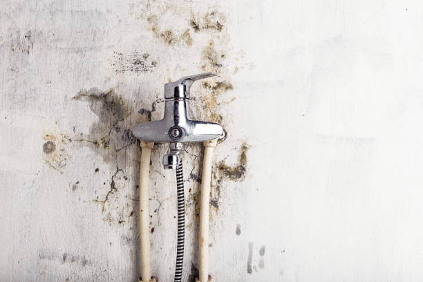 William Paterson University Of New Jersey, NJ Mold Remediation Company