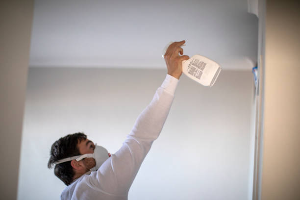 Best Insurance-Related Mold Remediation in William Paterson University Of New Jersey, NJ