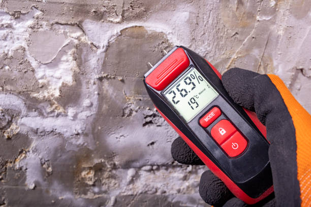 Best Basement Mold Remediation in William Paterson University Of New Jersey, NJ