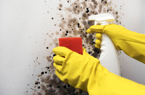 Best HVAC Mold Remediation in William Paterson University Of New Jersey, NJ