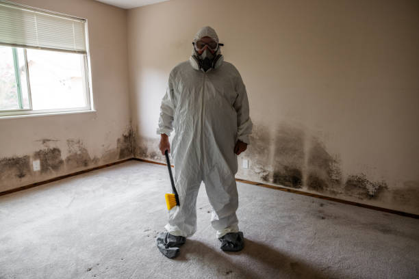 Best Attic Mold Remediation in William Paterson University Of New Jersey, NJ
